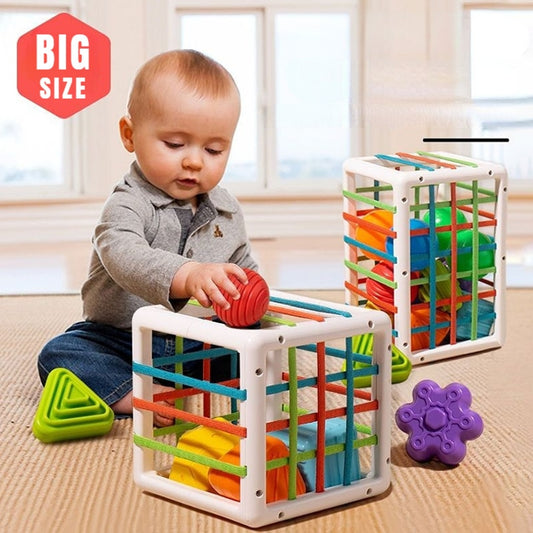 Colorful Shape Blocks Sorting Game Baby Montessori Learning Educational Toys For Children Bebe Birth 0 12 Months Gift